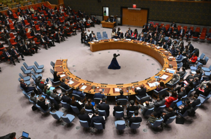  Ceasefire needs enforcement: Security Council support lacking