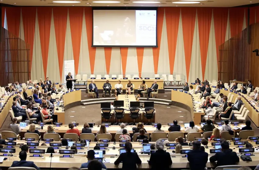  Multiple challenges: Financial operations of the United Nations Economic and Social Council 