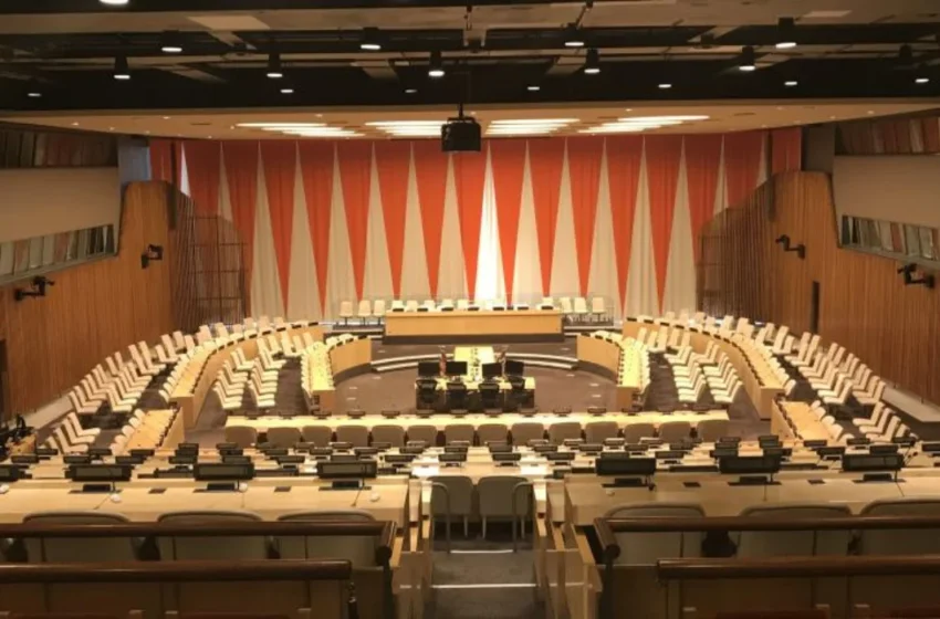  Performance of the Economic and Social Council of the UN 