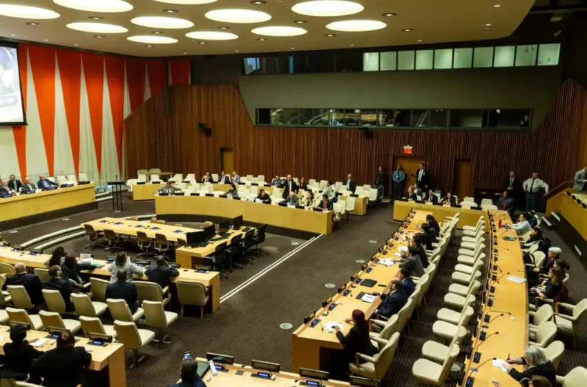  UN Economic and Social Council Resolutions on Israel and Women