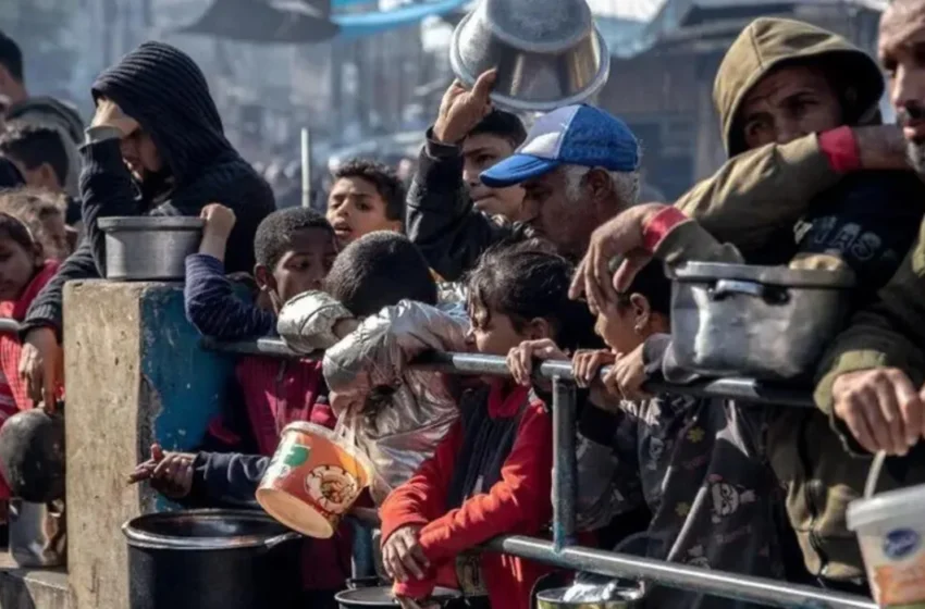  UN emergency relief in Gaza: Dealing with the humanitarian conflict 