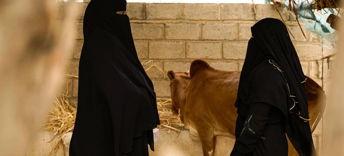 UN chief gravely concerned as U.S. airstrikes kill dozens in Yemen