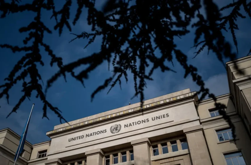  UN civil society channels are being exploited by China’s influence campaign