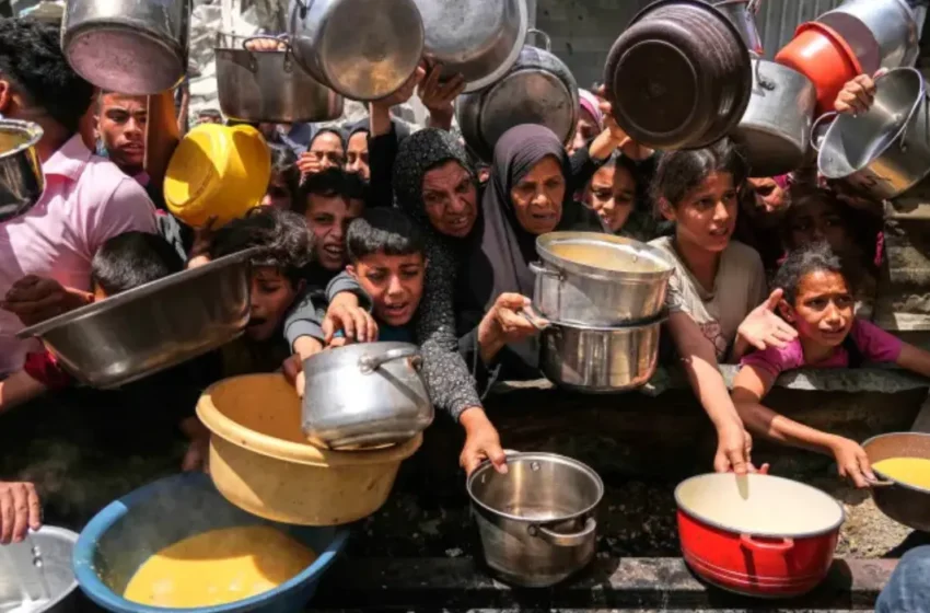  Is Gaza entering the cruelest phase of the war amid severe starvation?