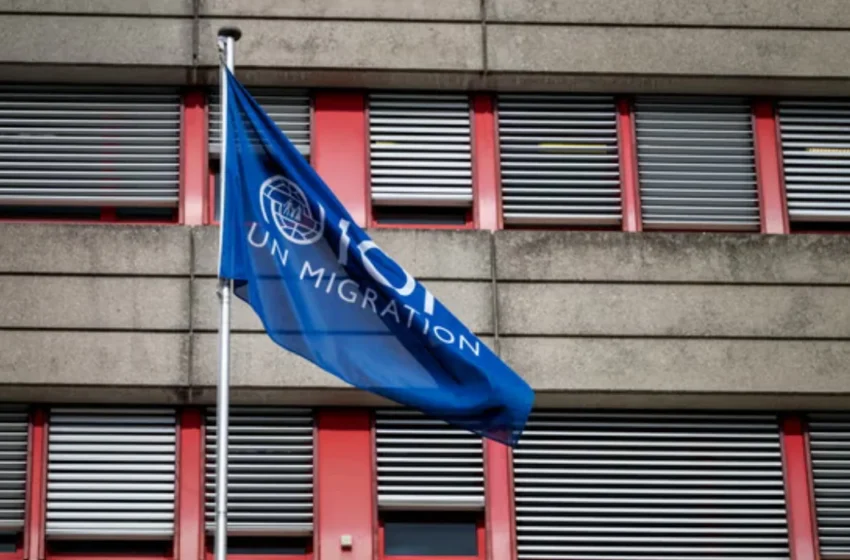 Trump hires UN migration team for ‘Self-Deportation’ plan ...