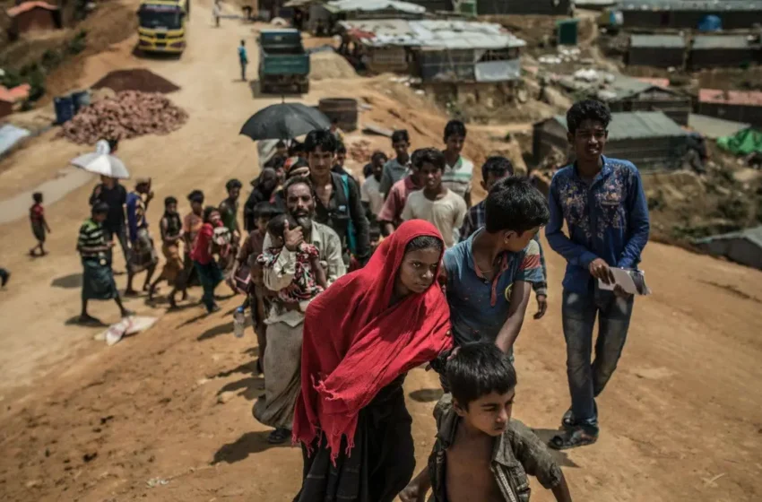  Holding the Unseen Stress:  Low-income Countries and the Refugee Crisis