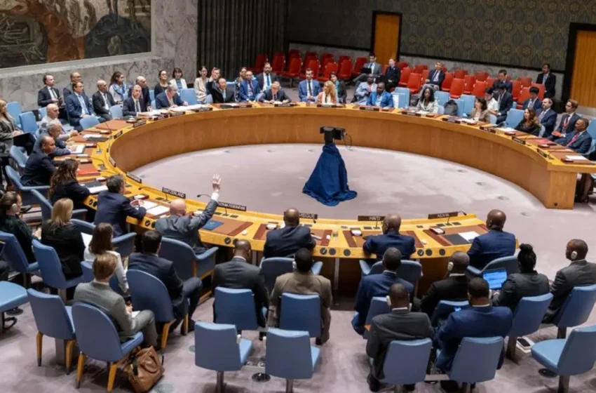  UN Security Council’s Haiti Dilemma: Peacekeeping or Pragmatic Support