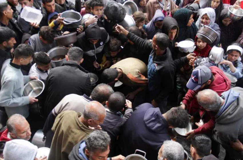  Gaza on the brink: Unraveling the dire evidence of famine and starvation