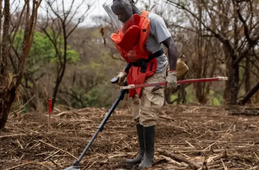  Why Landmine Bans Must Apply in War and Peace Alike?