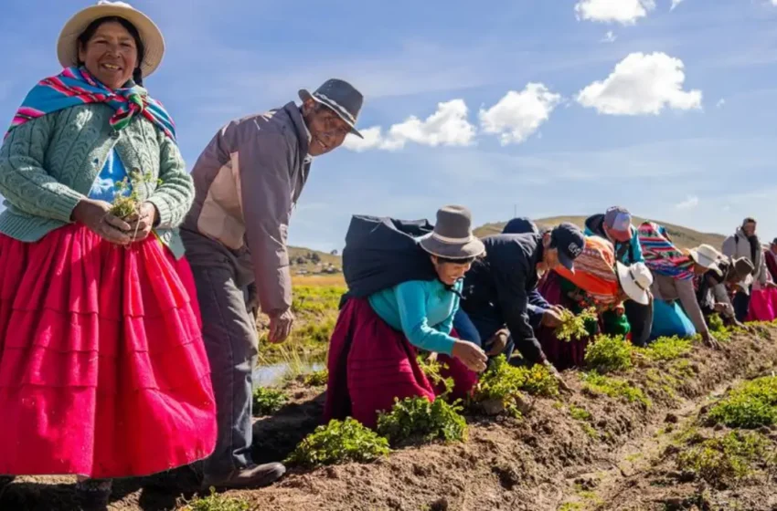 Women on the frontline: Peru’s female farmers battling climate change