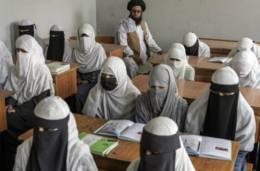  A Generation Stolen: The Human Cost of Banned Girls’ Schools in Afghanistan
