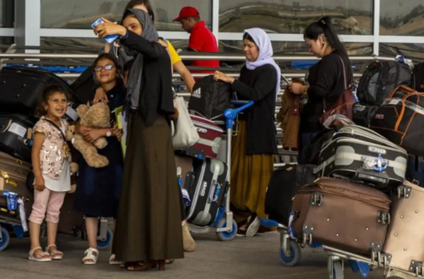  ​Migration as Development? Scrutinizing Iraq’s Ambitious National Strategy