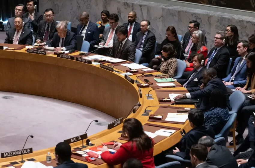  Rights Group urges UN General Assembly to bypass Council on Gaza