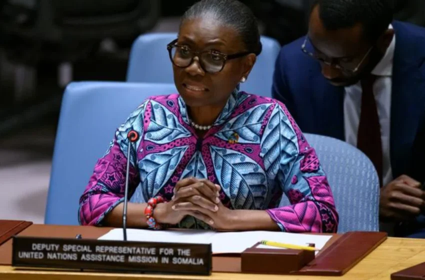  £9.3 Billion Impact: Female Leaders Drive UK-Somali Stability