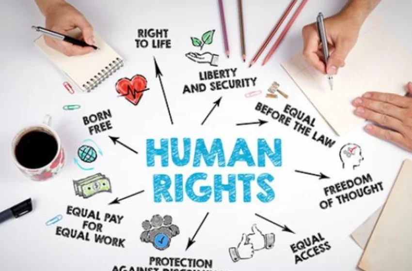  Andrea Bolaños Vargas and the future of human rights defenders