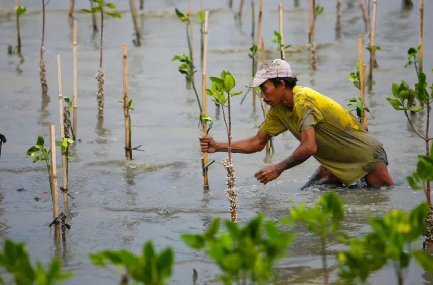  Evaluating the UN’s Impact on Climate Change Mitigation Efforts