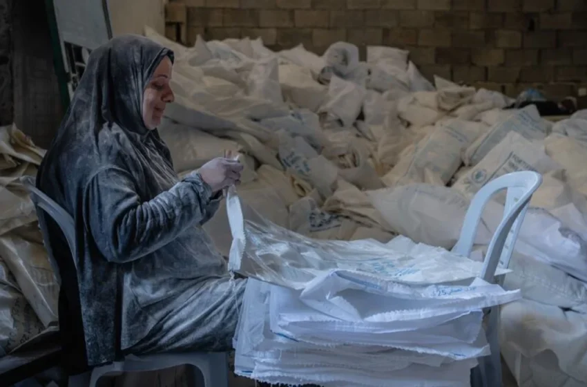  Gaza War’s Disproportionate Toll: 38,000 Women and Girls Lost