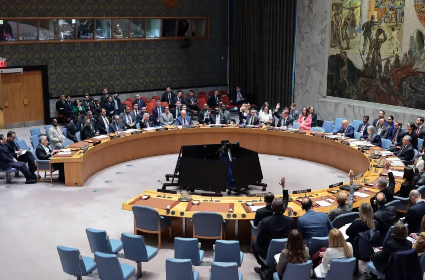  Germany’s Fight with Austria for a Coveted UN Security Council Seat