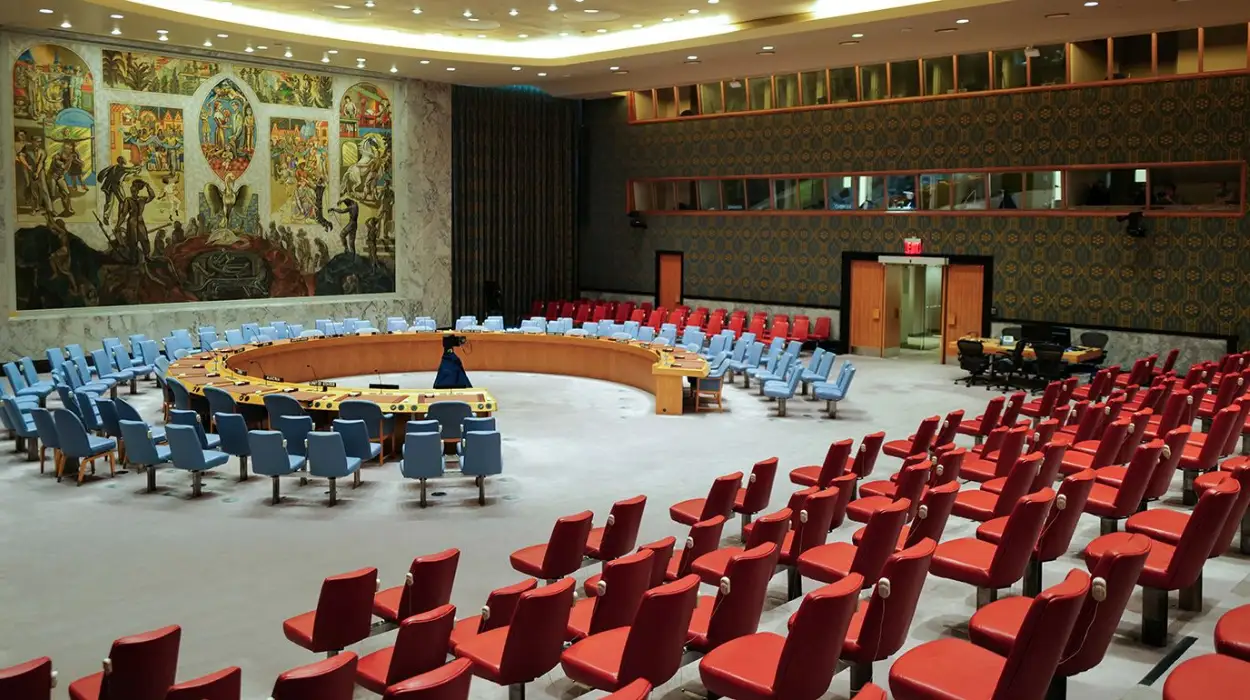 How the Security Council Shapes or Ignores Global Crises?