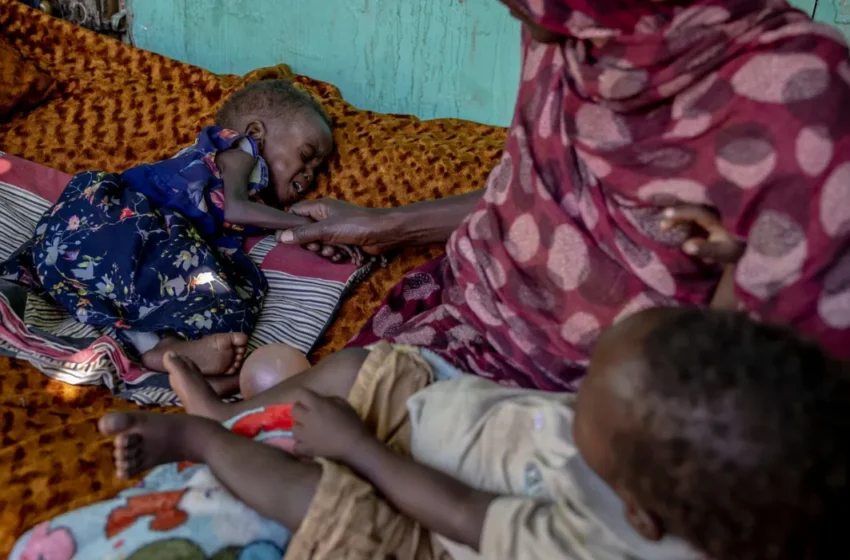  Sudan’s Fourth Year: Global Indifference Fuels Famine Catastrophe?