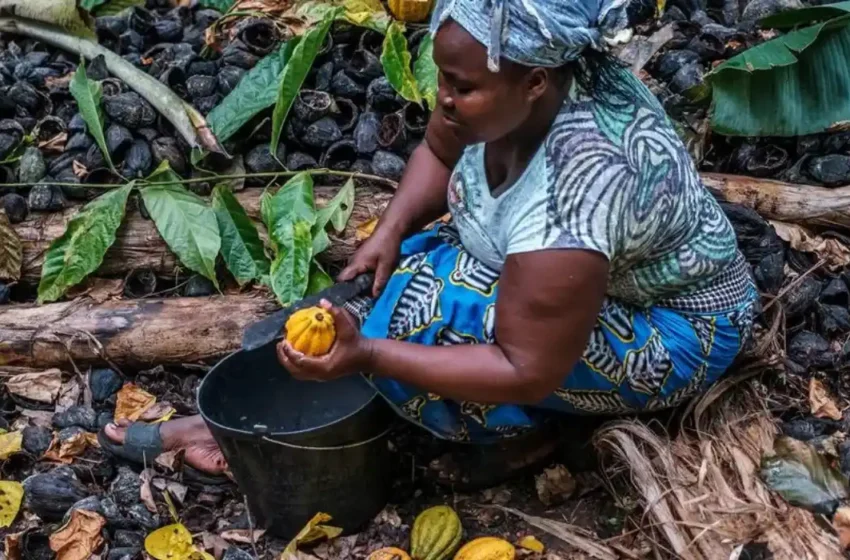  The $31 Trillion Debt Burden: A Barrier to Developing Countries’ Economic Growth