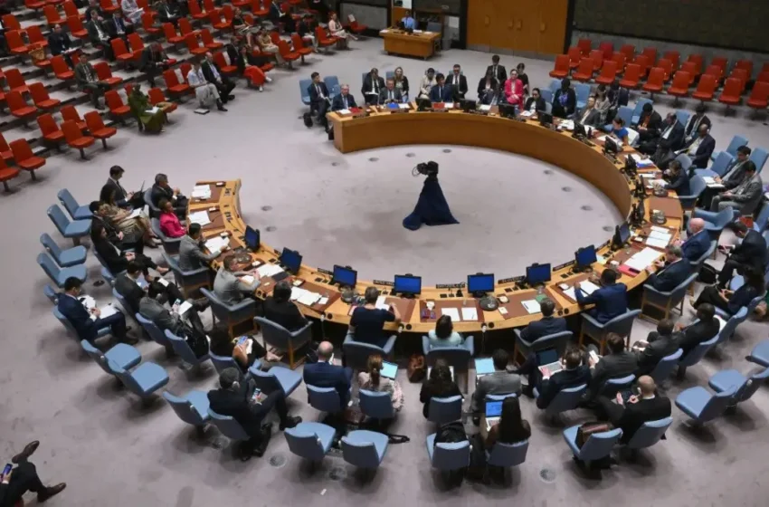  The Security Council and the World Without Rules: A Call for UN Reform