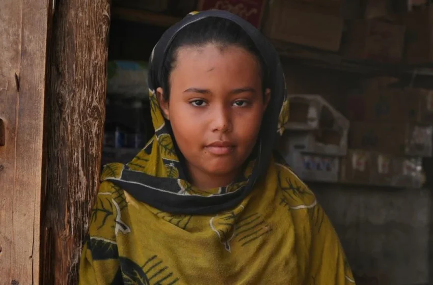  The UN at 80: Milestones and Modern Challenges for Multilateralism