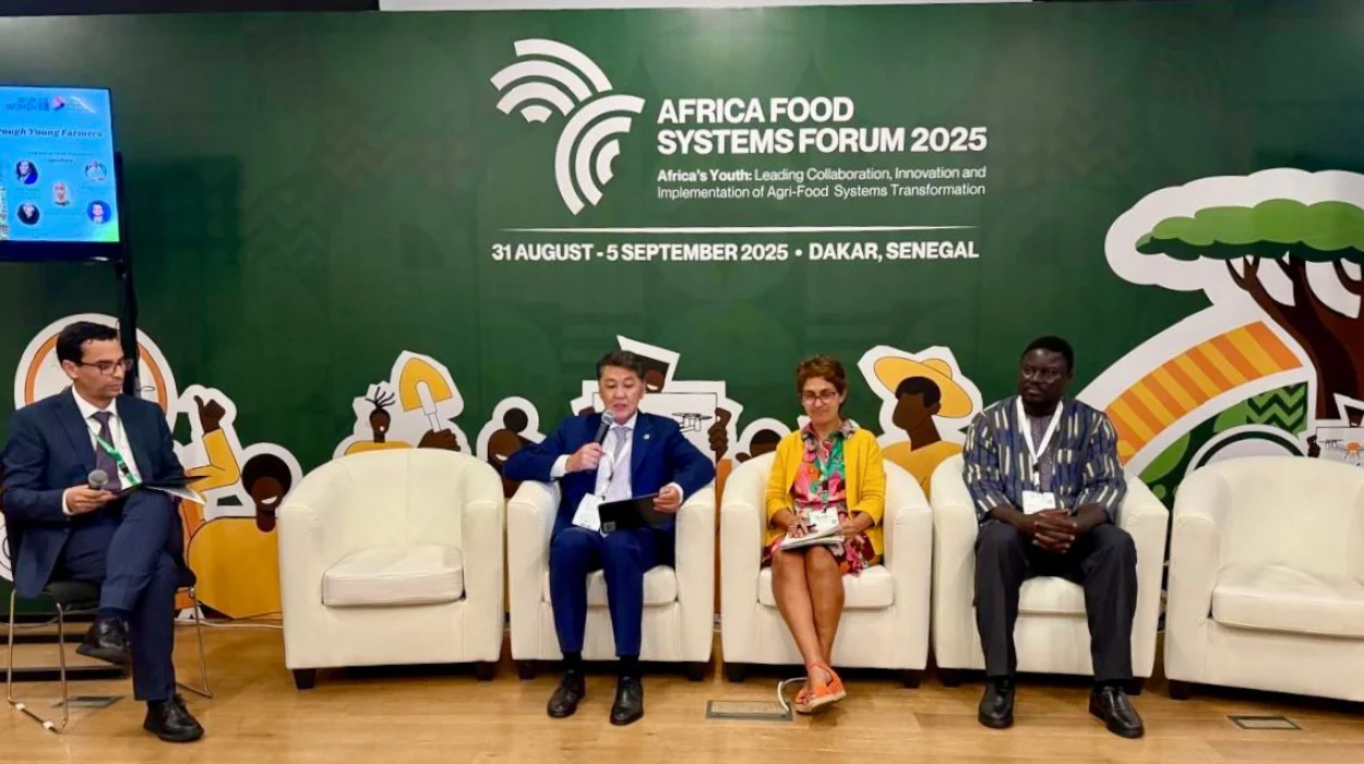 Transforming Women’s Roles in Africa’s Cassava Value Chain: The UN Women-IOFS Partnership