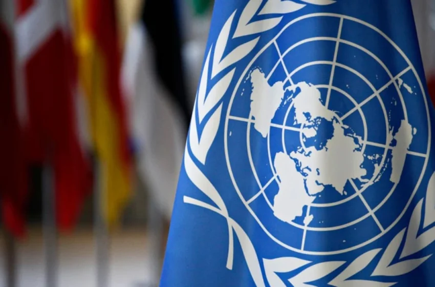  UN Accountability Mechanisms: Successes and Failures