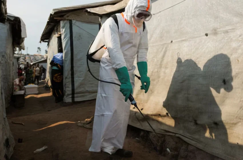  UN Ebola Warning: Africa Faces $3.6 Billion Risk