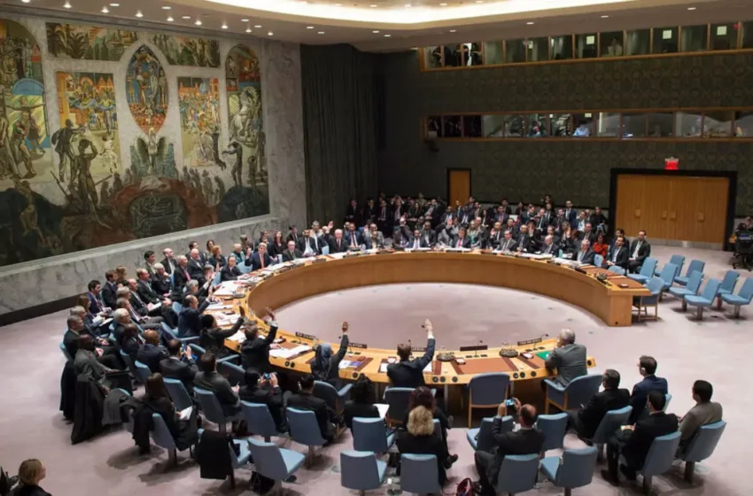  Veto Power and Global Peace: The Case for Security Council Reform